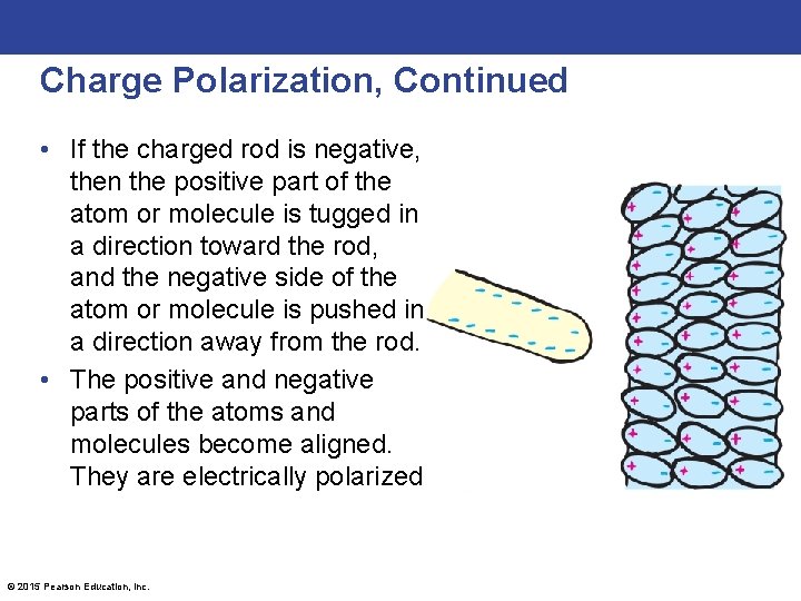 Charge Polarization, Continued • If the charged rod is negative, then the positive part