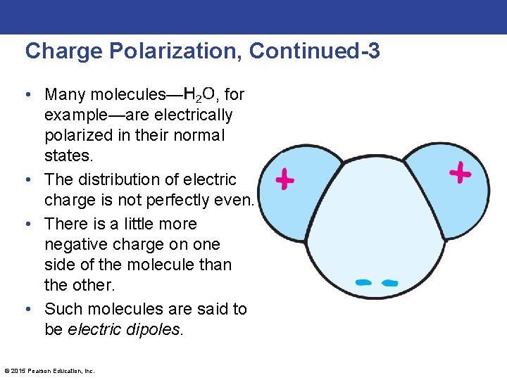 Charge Polarization, Continued-3 • Many molecules— , for example—are electrically polarized in their normal