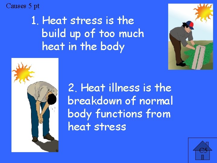 Causes 5 pt 1. Heat stress is the build up of too much heat