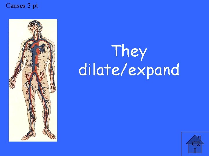 Causes 2 pt They dilate/expand C 2 