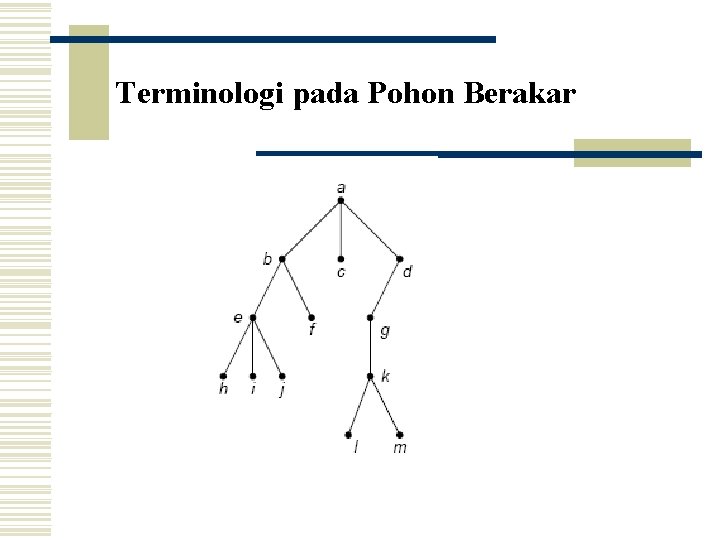 Terminologi pada Pohon Berakar 