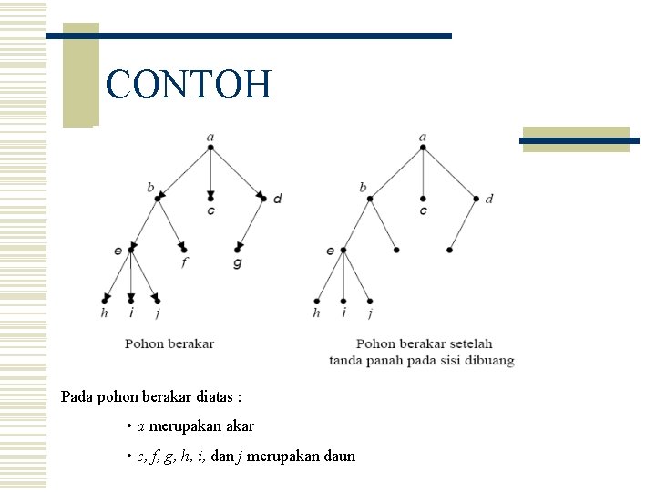 CONTOH Pada pohon berakar diatas : • a merupakan akar • c, f, g,