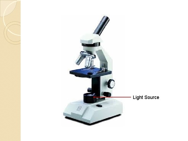 Microscope Bottom Light Source Agenda Brainstorming Period Parts of a Microscope Rules