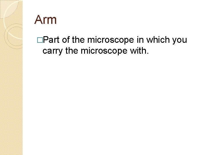 Agenda Brainstorming Period Parts of a Microscope Rules