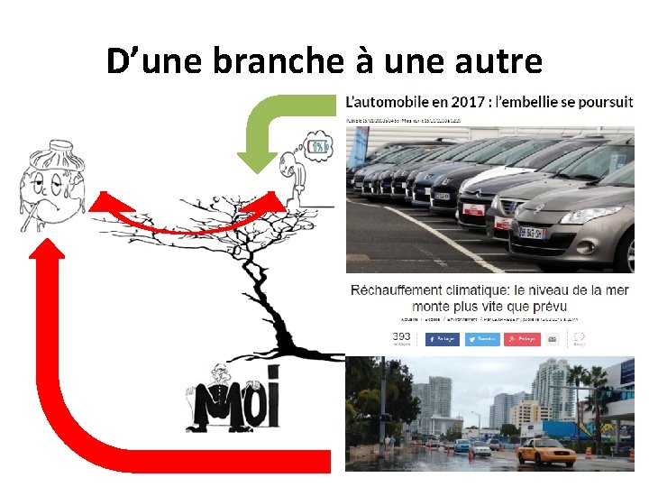 D’une branche à une autre D’une branche à une autre