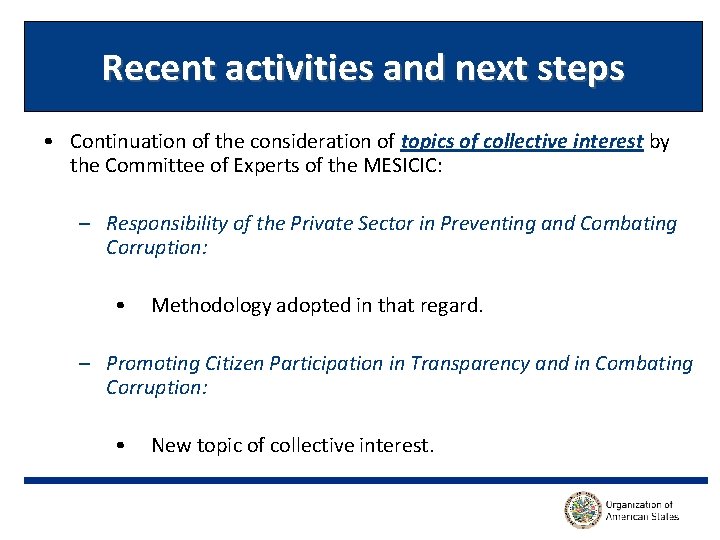 Recent activities and next steps • Continuation of the consideration of topics of collective