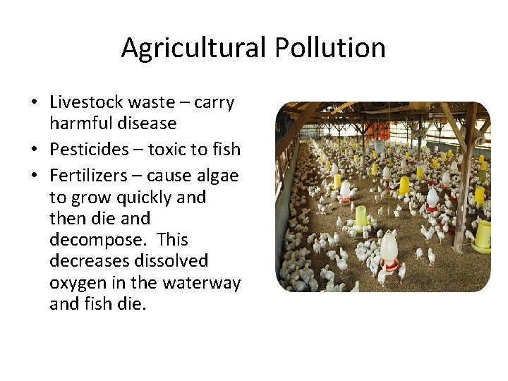 Agricultural Pollution • Livestock waste – carry harmful disease • Pesticides – toxic to