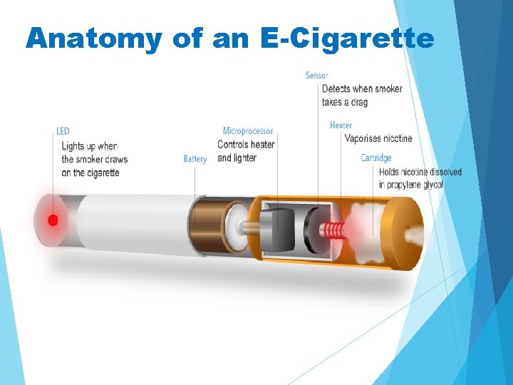 Anatomy of an E-Cigarette 