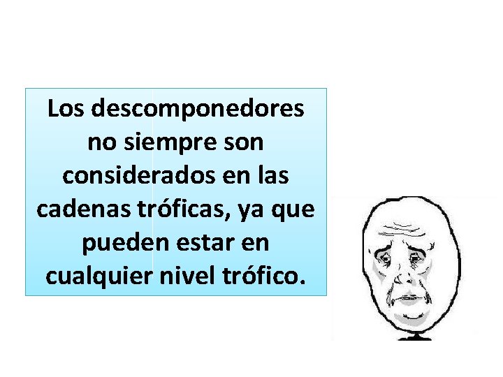 Los descomponedores no siempre son considerados en las cadenas tróficas, ya que pueden estar