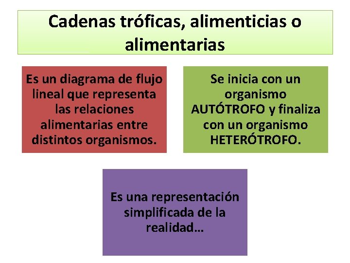 Cadenas tróficas, alimenticias o alimentarias Es un diagrama de flujo lineal que representa las