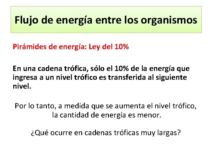 Flujo de energía entre los organismos Pirámides de energía: Ley del 10% En una