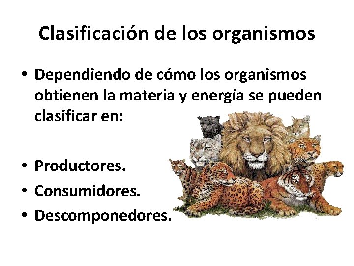 Clasificación de los organismos • Dependiendo de cómo los organismos obtienen la materia y