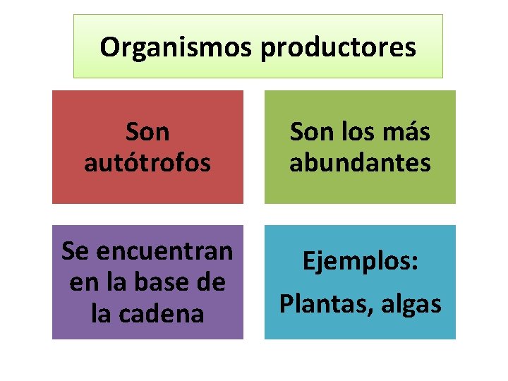 Organismos productores Son autótrofos Son los más abundantes Se encuentran en la base de