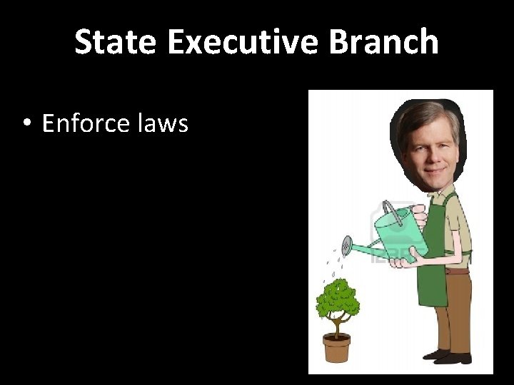 State Executive Branch • Enforce laws 