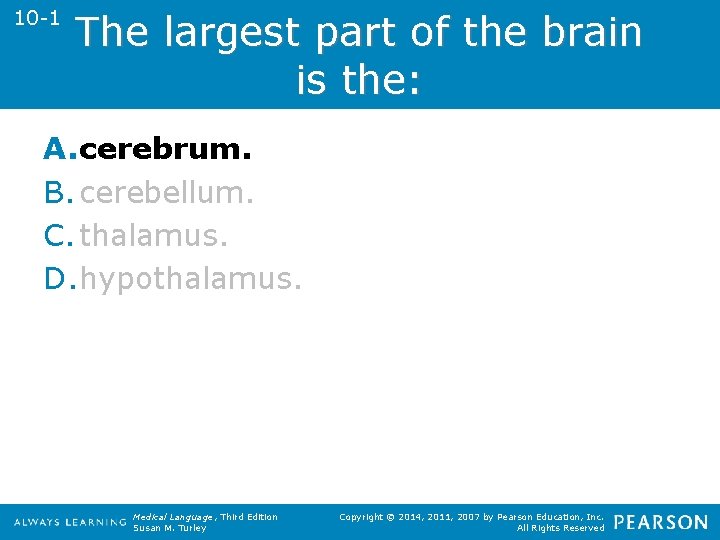 10 -1 The largest part of the brain is the: A. cerebrum. B. cerebellum.