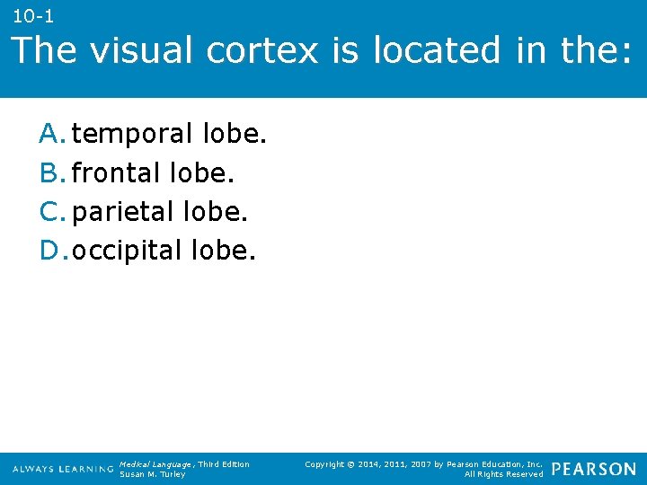 10 -1 The visual cortex is located in the: A. temporal lobe. B. frontal