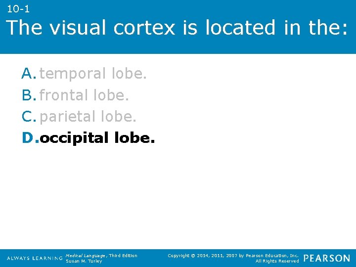 10 -1 The visual cortex is located in the: A. temporal lobe. B. frontal