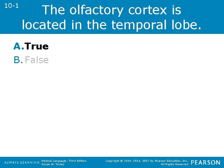 10 -1 The olfactory cortex is located in the temporal lobe. A. True B.