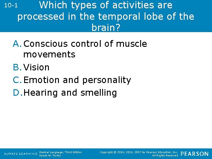 Which types of activities are processed in the temporal lobe of the brain? 10