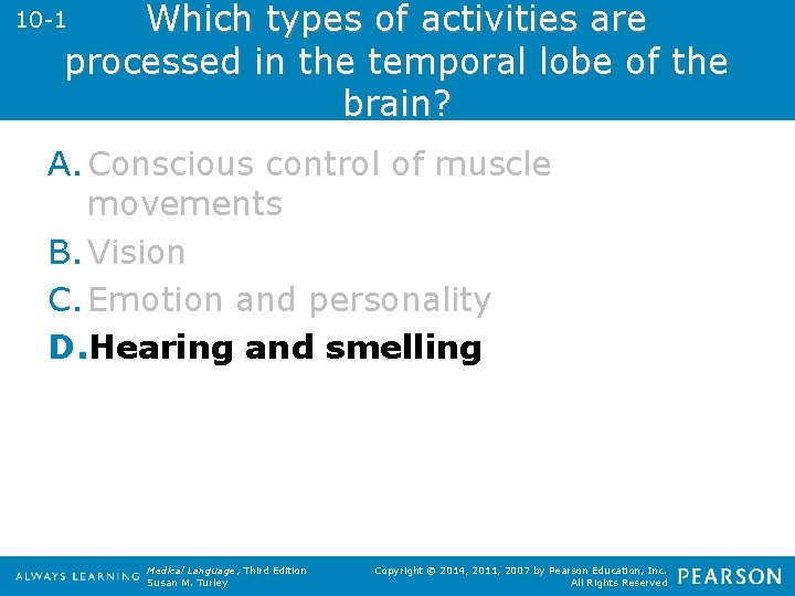 Which types of activities are processed in the temporal lobe of the brain? 10