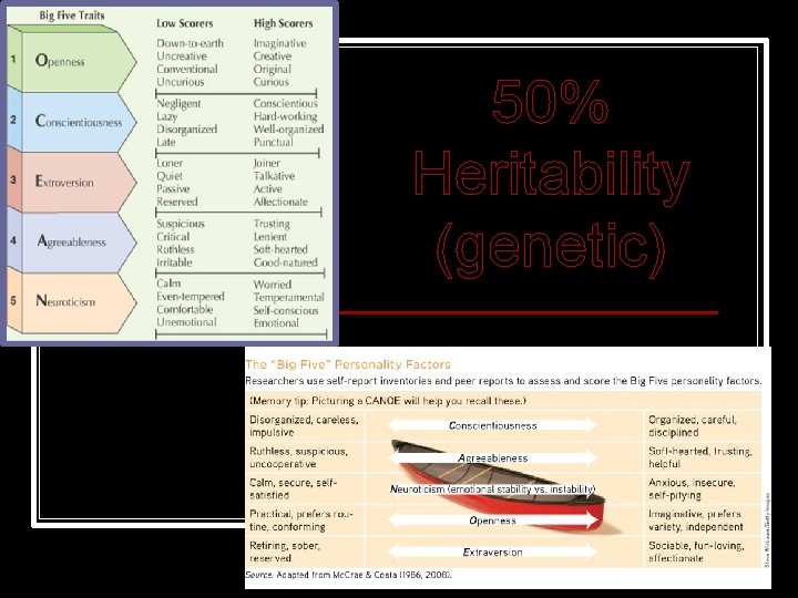 50% Heritability (genetic) 