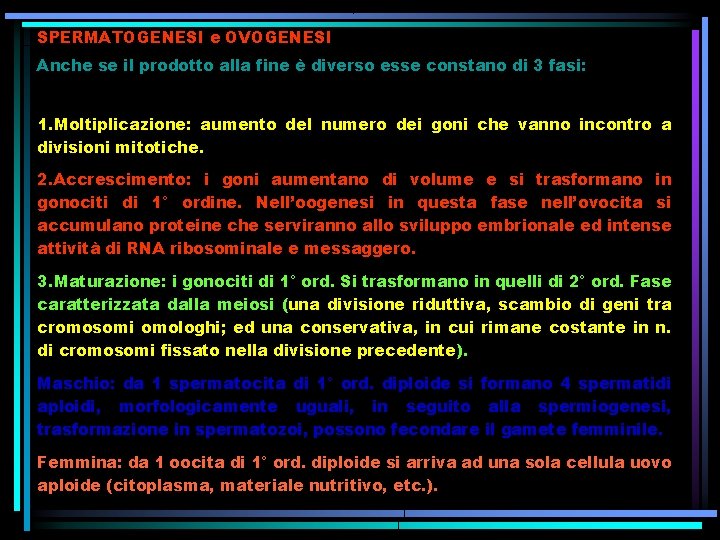 SPERMATOGENESI e OVOGENESI Anche se il prodotto alla fine è diverso esse constano di