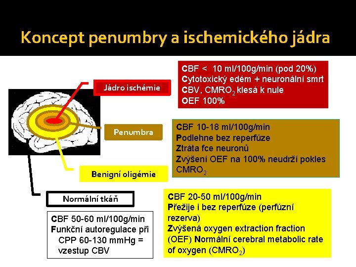 Koncept penumbry a ischemického jádra Jádro ischémie Penumbra Benigní oligémie Normální tkáň CBF 50