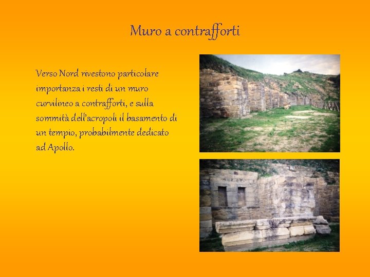 Muro a contrafforti Verso Nord rivestono particolare importanza i resti di un muro curvilineo