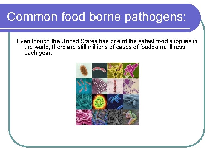 Common food borne pathogens: Even though the United States has one of the safest