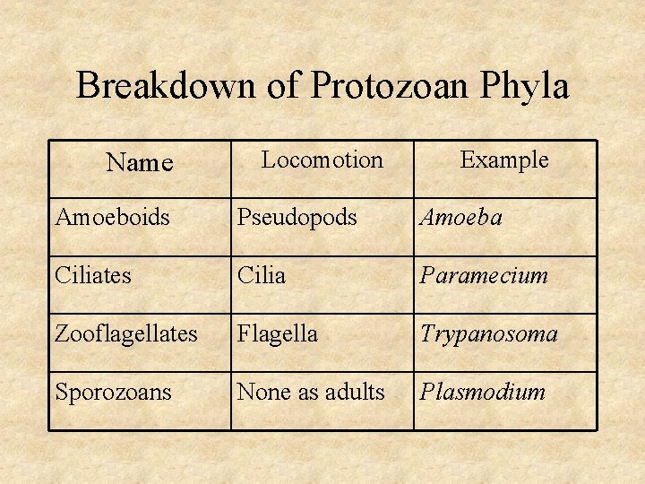 Breakdown of Protozoan Phyla Name Locomotion Example Amoeboids Pseudopods Amoeba Ciliates Cilia Paramecium Zooflagellates Breakdown of Protozoan Phyla Name Locomotion Example Amoeboids Pseudopods Amoeba Ciliates Cilia Paramecium Zooflagellates