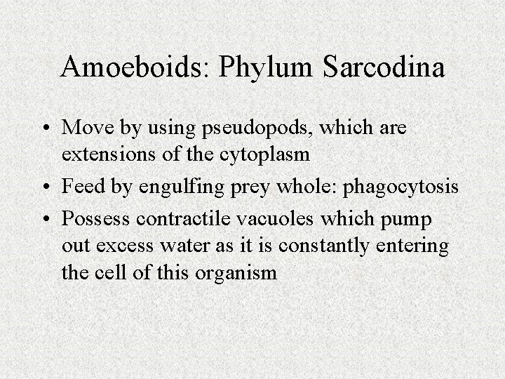 Amoeboids: Phylum Sarcodina • Move by using pseudopods, which are extensions of the cytoplasm Amoeboids: Phylum Sarcodina • Move by using pseudopods, which are extensions of the cytoplasm