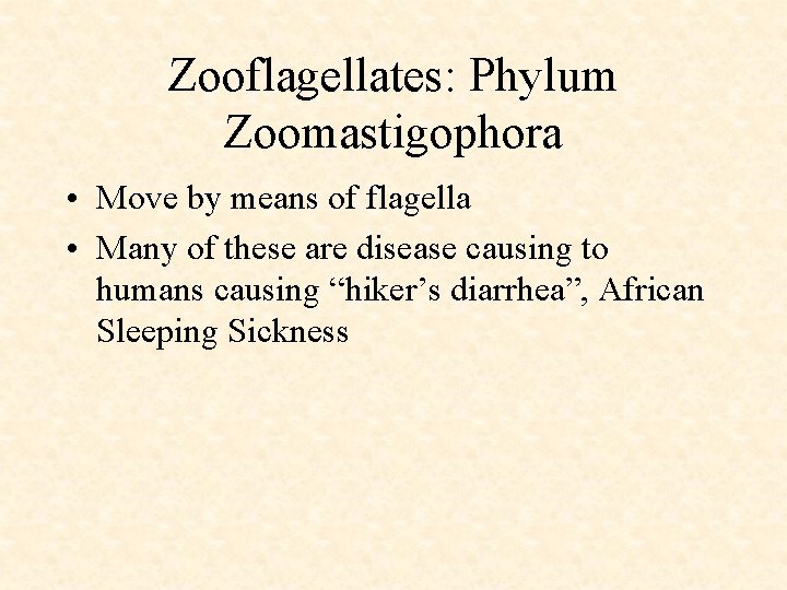 Zooflagellates: Phylum Zoomastigophora • Move by means of flagella • Many of these are Zooflagellates: Phylum Zoomastigophora • Move by means of flagella • Many of these are