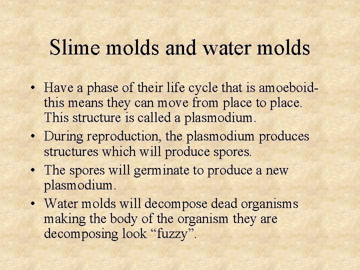 Slime molds and water molds • Have a phase of their life cycle that Slime molds and water molds • Have a phase of their life cycle that