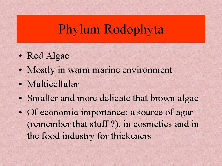 Phylum Rodophyta • • • Red Algae Mostly in warm marine environment Multicellular Smaller Phylum Rodophyta • • • Red Algae Mostly in warm marine environment Multicellular Smaller