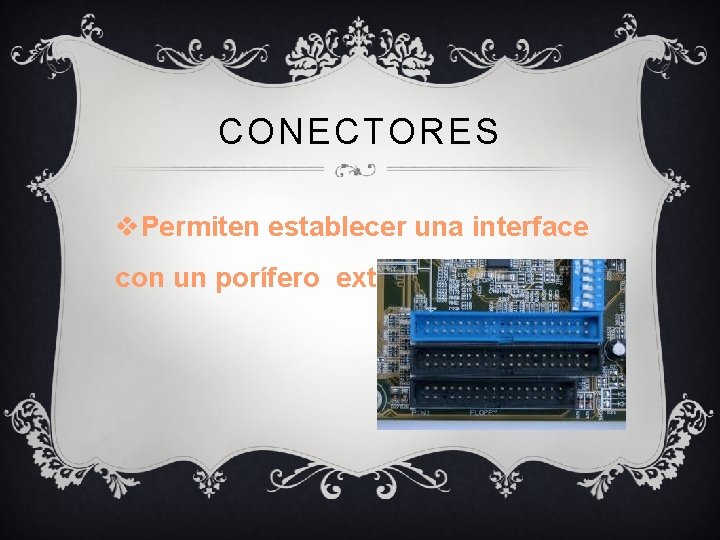 CONECTORES v. Permiten establecer una interface con un porífero externo. 