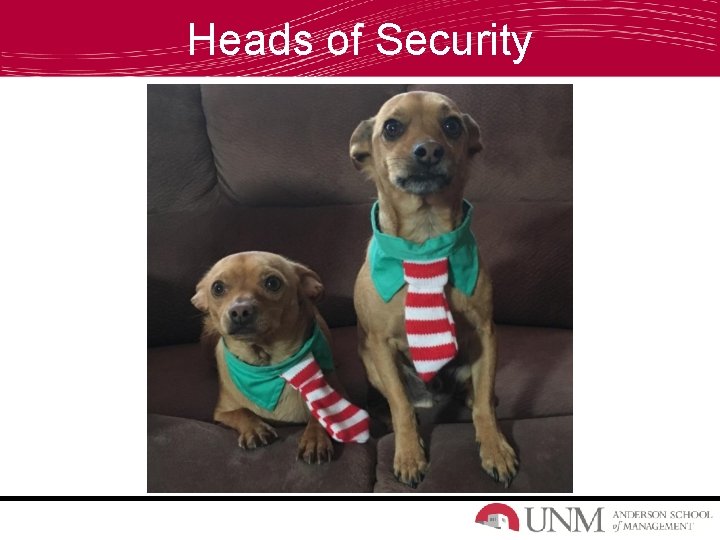 Heads of Security 