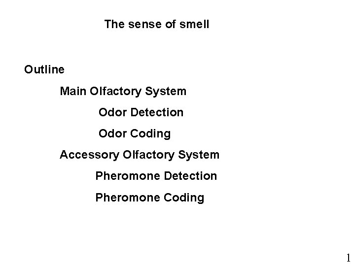The sense of smell Outline Main Olfactory System Odor Detection Odor Coding Accessory Olfactory