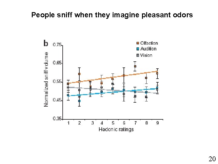 People sniff when they imagine pleasant odors 20 