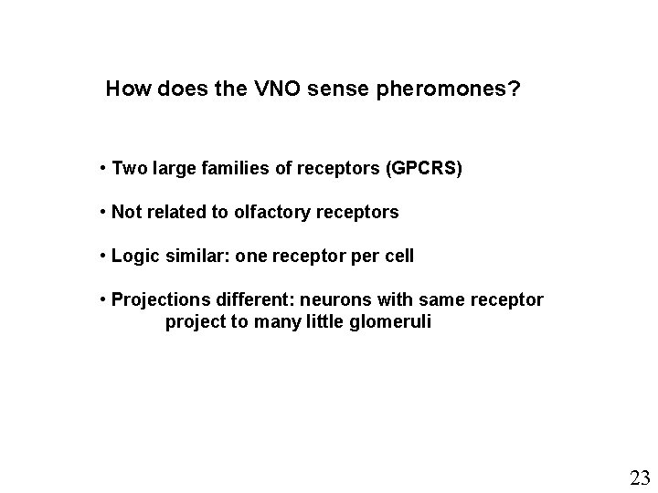 How does the VNO sense pheromones? • Two large families of receptors (GPCRS) •