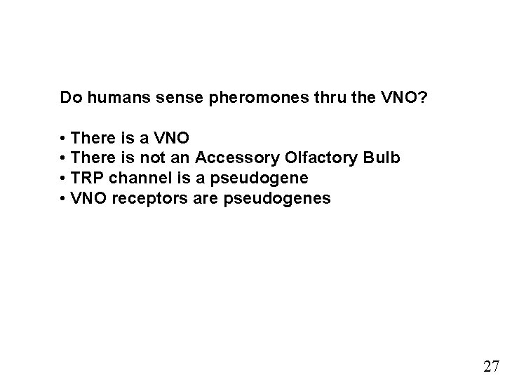 Do humans sense pheromones thru the VNO? • There is a VNO • There