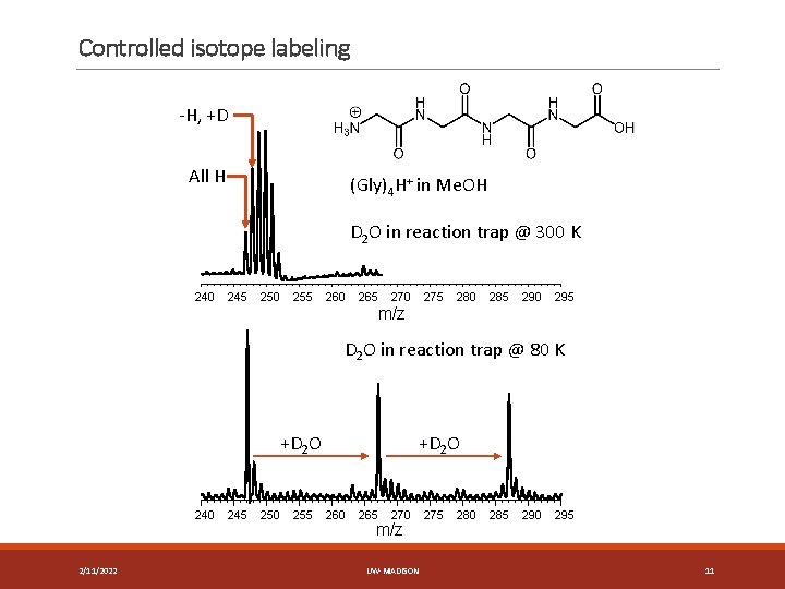 Controlled isotope labeling -H, +D All H (Gly)4 H+ in Me. OH D 2