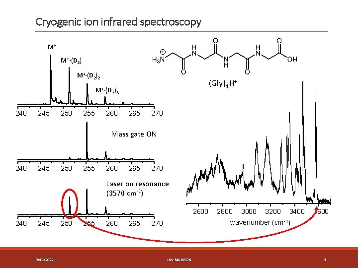 Cryogenic ion infrared spectroscopy M+ M+·(D 2)2 (Gly)4 H+ M+·(D 2)3 240 245 250