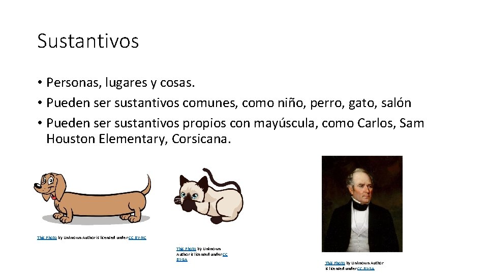 Sustantivos • Personas, lugares y cosas. • Pueden ser sustantivos comunes, como niño, perro,