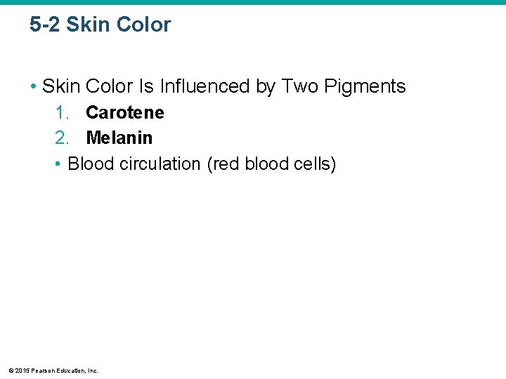 5 -2 Skin Color • Skin Color Is Influenced by Two Pigments 1. Carotene