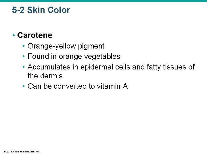 5 -2 Skin Color • Carotene • Orange-yellow pigment • Found in orange vegetables