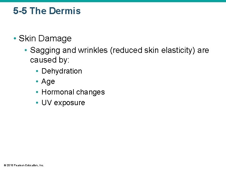 5 -5 The Dermis • Skin Damage • Sagging and wrinkles (reduced skin elasticity)