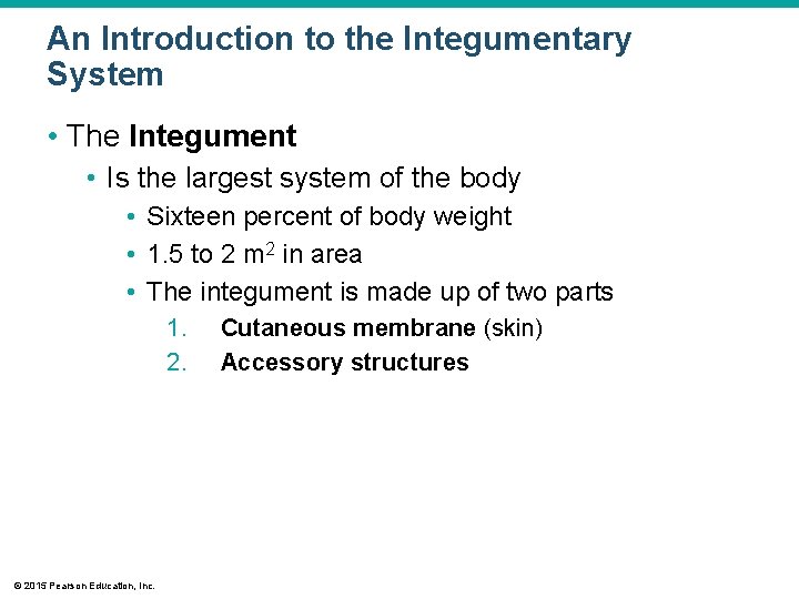 An Introduction to the Integumentary System • The Integument • Is the largest system