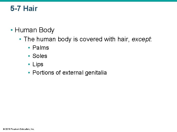5 -7 Hair • Human Body • The human body is covered with hair,