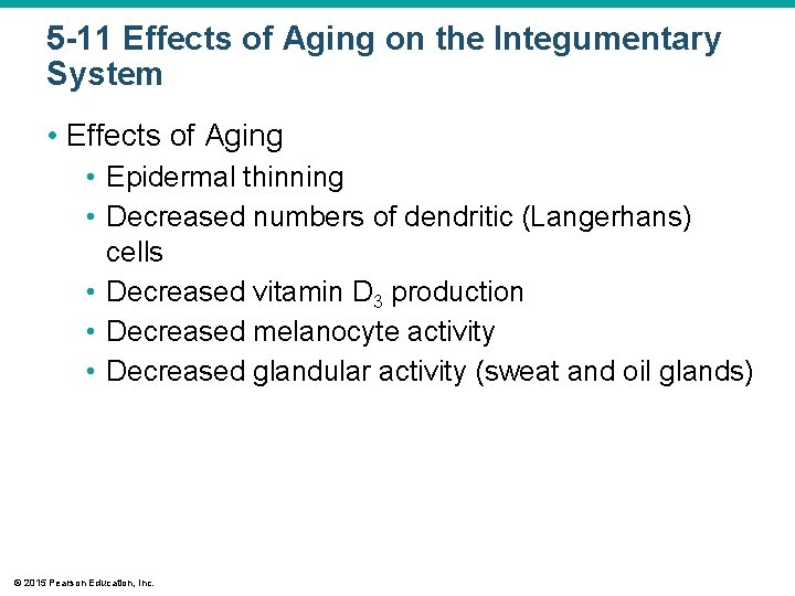 5 -11 Effects of Aging on the Integumentary System • Effects of Aging •