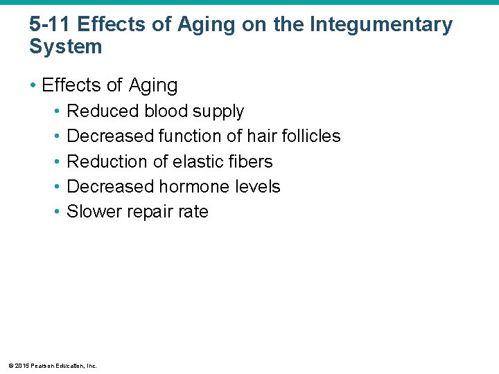 5 -11 Effects of Aging on the Integumentary System • Effects of Aging •